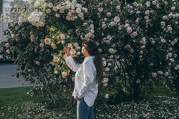 Woman standing and touching rose flower in garden