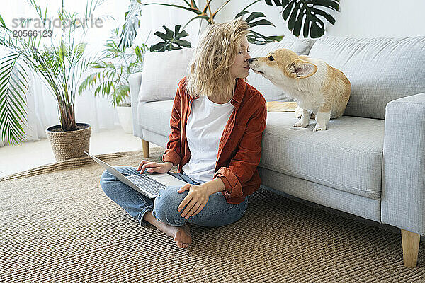 Freelancer kissing dog sitting on sofa at home