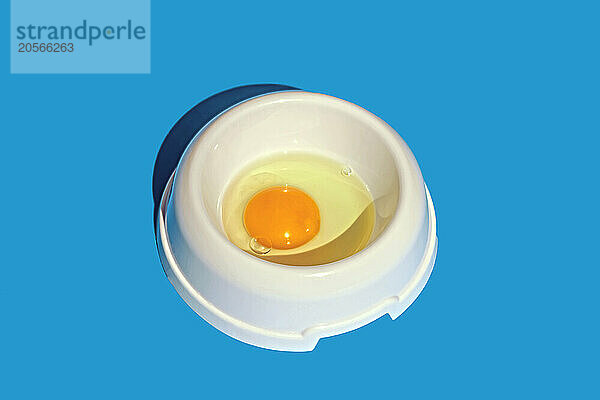 Dog food bowl with raw egg on blue background