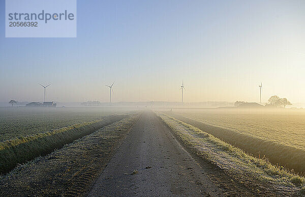 Country road amidst agricultural field with wind turbines in south of Netherlands