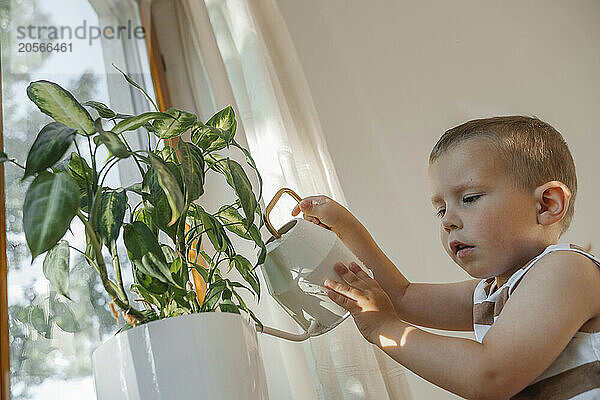 Cute boy watering plants at home