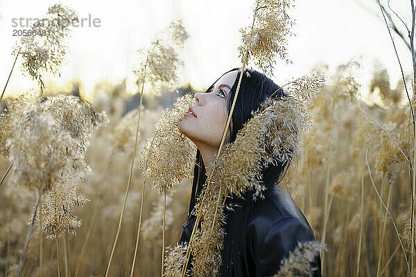 Beautiful young woman day dreaming in field