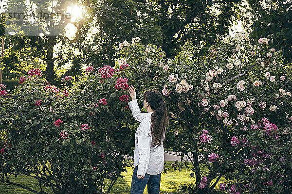 Woman wearing white shirt holding rose at garden