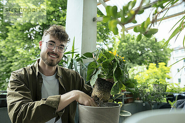 Smiling young man gardening in balcony