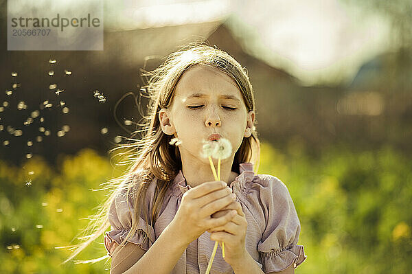 Playful girl blowing on dandelion flowers at field