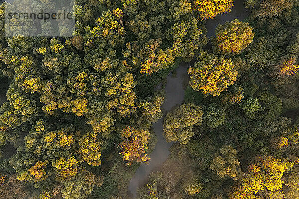 Germany  Bavaria  Aerial view of morning fog floating over river Main in autumn