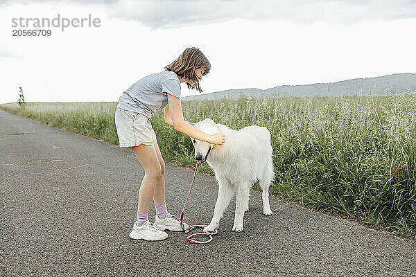 Girl putting leash on dog standing near field