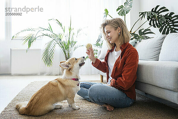 Smiling woman playing with pet dog sitting on carpet at home