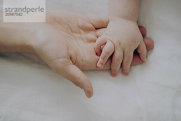 Hands of mother and son on bed at home