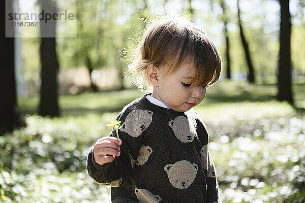 Cute boy holding flower in park