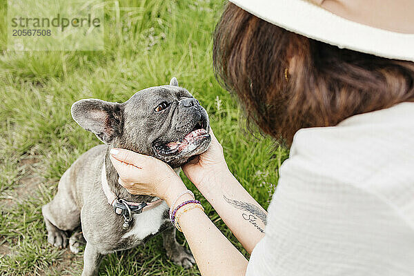 Woman petting cute french bulldog on grass