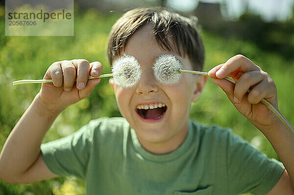 Playful boy covering eyes with dandelion flowers at field