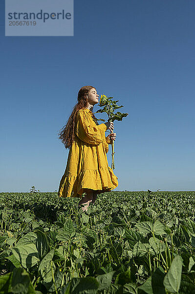 Teenage girl with red hair in a yellow dress with sunflowers in a green field