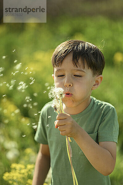 Boy blowing on dandelion flower at field