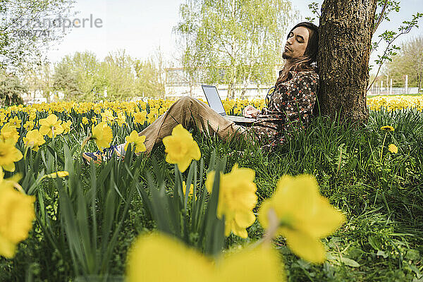 Tired man with laptop leaning on tree trunk sleeping amidst daffodil flowers