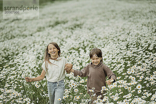 Happy sister and brother running through chamomile field