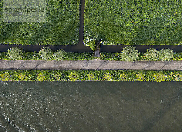 Trees along the Amsterdam-Rhine Canal