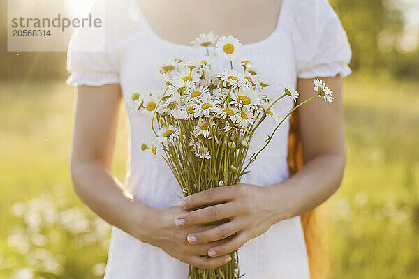 Woman holding bunch of chamomile flowers