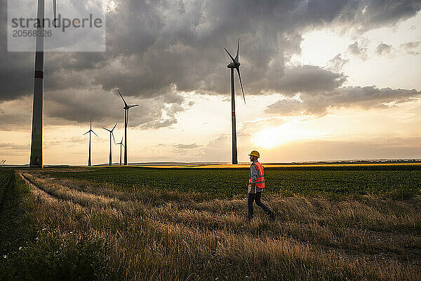 Engineer walking in field with wind turbines at sunset