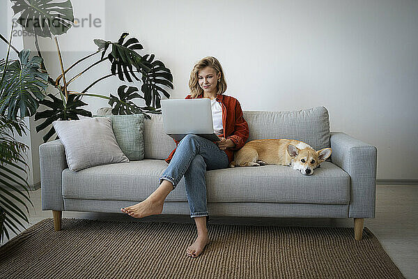 Freelancer using laptop sitting on sofa next to dog at home office