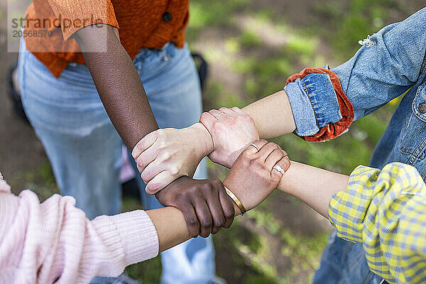 Multiracial women holding hands of each other