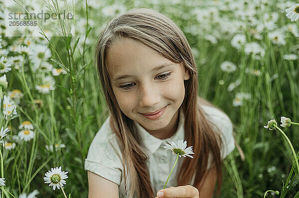 Smiling girl looking at daisy flower in field