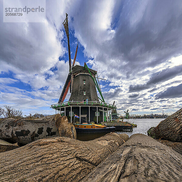 Zaanse Schans windmill near tree trunks under cloudy sky