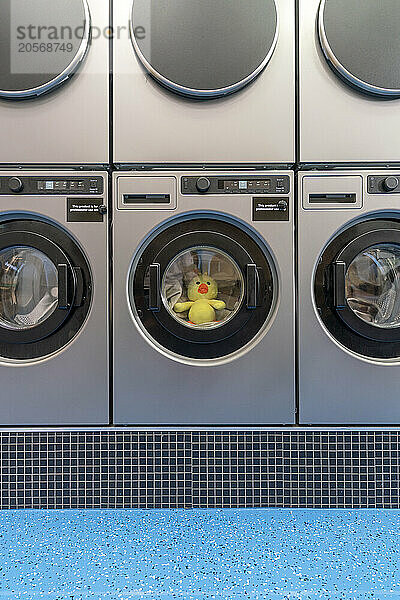 Yellow duck in dryer at laundromat