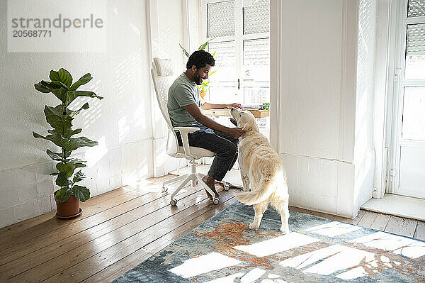 Young man sitting on chair and stroking dog in living room at home