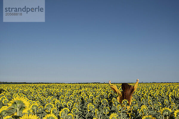 Teenage girl with red hair in a yellow dress in a field of sunflowers