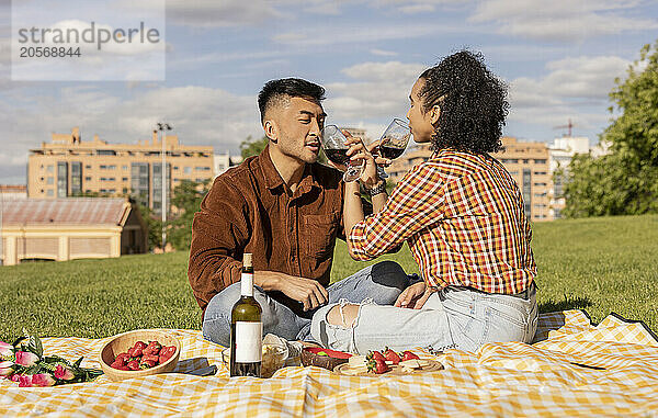 Boyfriend and girlfriend drinking wine and sitting on picnic blanket at park