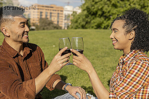 Happy multiracial couple toasting wineglasses at park