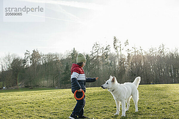 Boy giving obedience training to White Swiss Shepherd Dog on grass in meadow