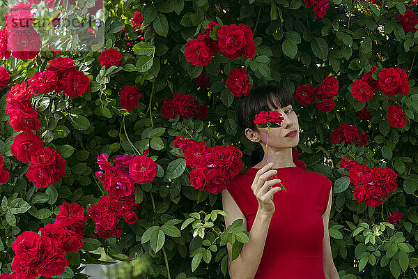 Confident woman with red rose in front of eye