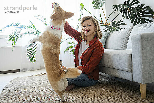 Smiling freelancer having fun with dog in living room at home