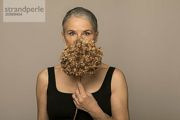 Senior woman covering face with withered flower against brown background