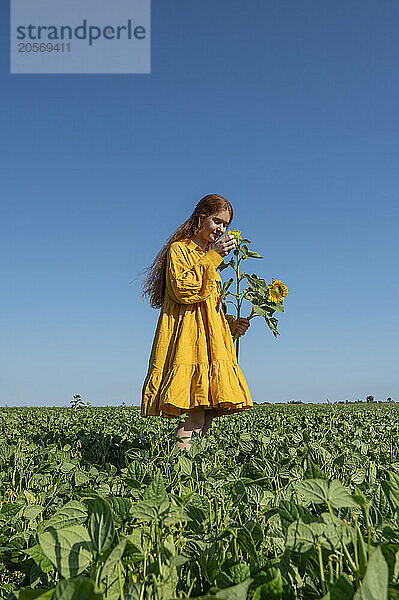 Teenage girl with red hair in a yellow dress with sunflowers in a green field