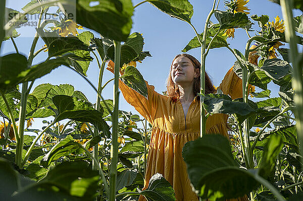 Teenage girl with red hair in a yellow dress in a field of sunflowers