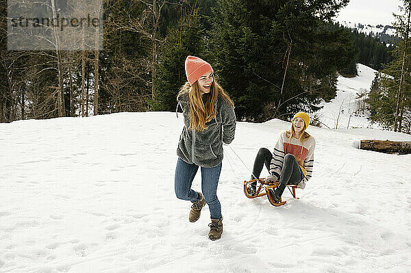 Carefree woman pulling friend sitting on sled in winter vacation