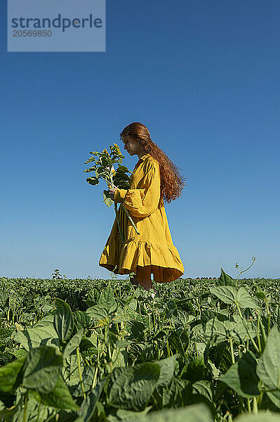 Teenage girl with red hair in a yellow dress with sunflowers in a green field