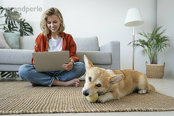 Dog sitting on carpet with freelancer sitting in background at home