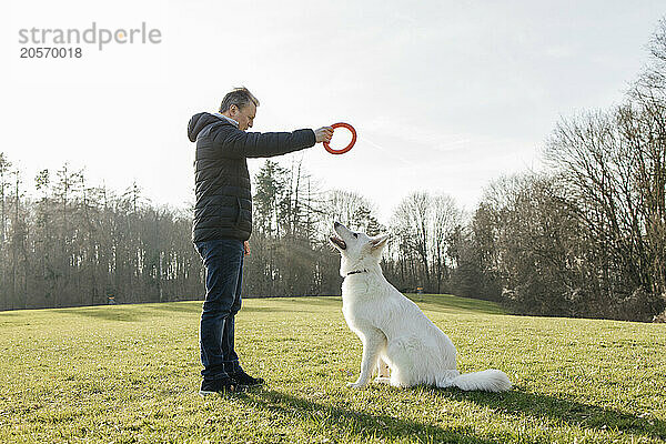 Man giving obedience training to dog sitting on grass in meadow