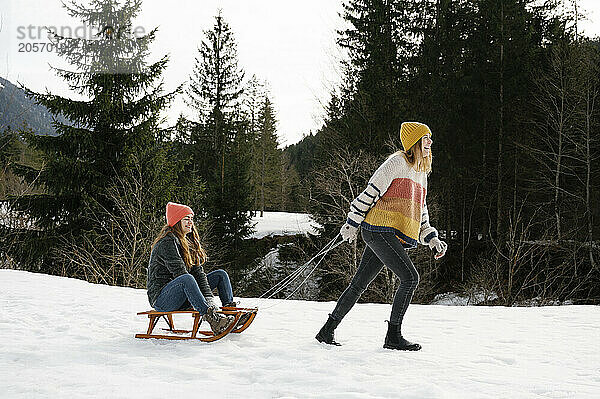 Woman pulling friend sitting on sled in winter vacation