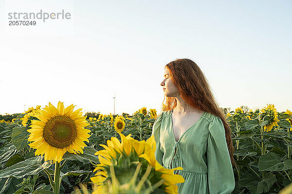 Teenage girl with red hair in sunflowers field