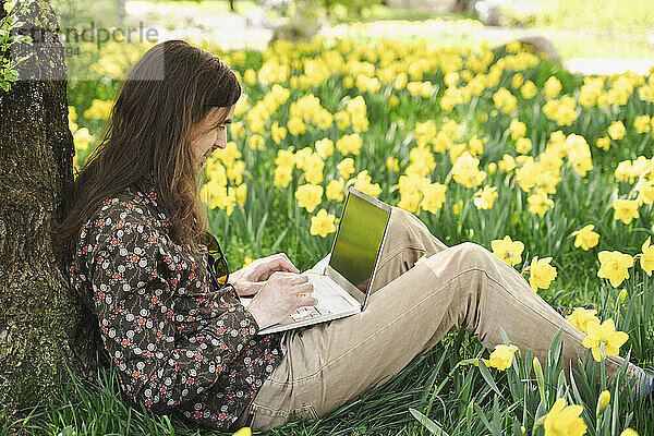 Man using laptop leaning on tree trunk at daffodil meadow