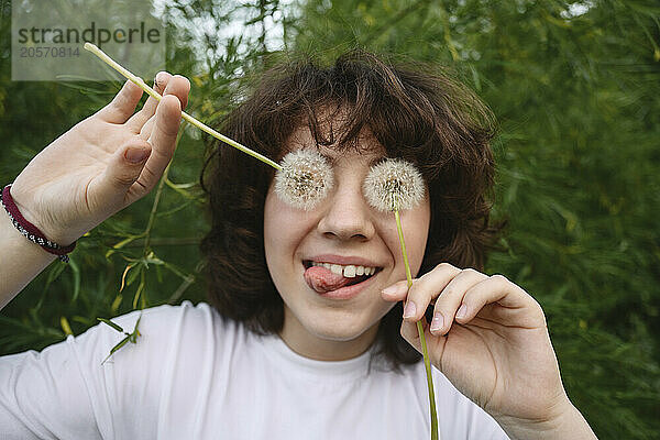 Playful girl sticking out tongue and covering eyes with dandelions