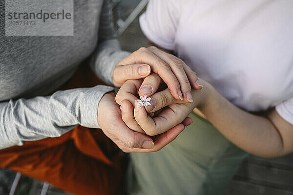 Hands of mother and daughter holding small lilac flower