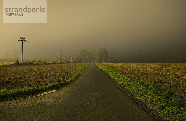 Empty road amidst agricultural fields in Normandy