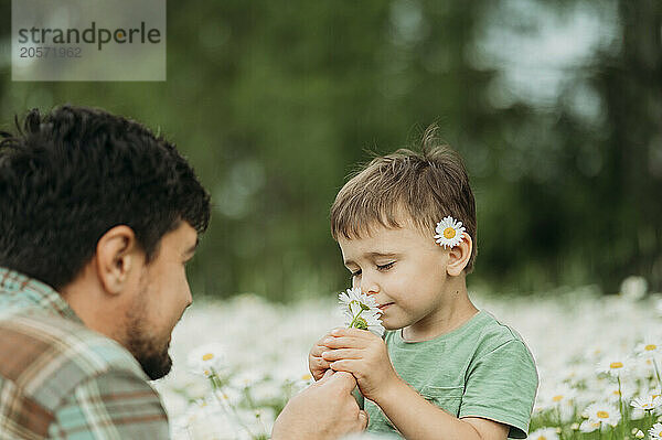 Cute boy smelling daisy flower with father in field