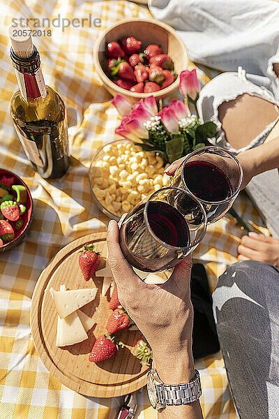 Hands of young couple toasting wineglasses with fruits kept on picnic blanket